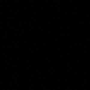 Meet your Posher, Paige